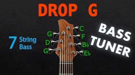 drop g 7 string